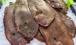 Ocean Frais - Sole vidé 200g/250g - 2 pièces