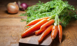 Nature et Saveurs - Ferme Aquaponique et Permacole Astérienne - Carotte orange longue – Le légume racine par excellence