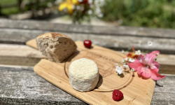 Chèvrerie de Ker Anna - Crottin mi affiné