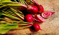 Nature et Saveurs - Ferme Aquaponique et Permacole Astérienne - Mini Betteraves Chioggia Gastronomiques