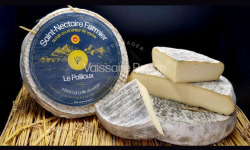 Vaissaire Papon Affineur - Fromager - Saint-Nectaire fermier AOP- Le Pailloux  - 400g - Médaille d'Or Lyon 2026