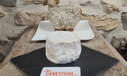 Lou Canesteou - Chaource AOP