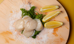 Pêcherie Granvillaise - Noix de Saint-Jacques de Normandie 200g