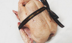 Des Poules et des Vignes à Bourgueil - 1 canard gras prêt à cuire et un foie gras de canard minimum 400gr