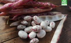 Ferme de Carcouet - Haricots demi-secs Bio - 3 kg