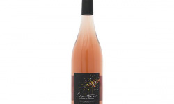 Domaine Bailly Jean-Pierre - Coteaux du Giennois Rosé "Montour"