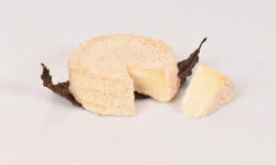 Fromage Gourmet - Mothais sur Feuille