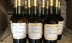 Château des Plassons - 6 Bouteilles De Pineau Des Charentes Rastignac Jeune Blanc