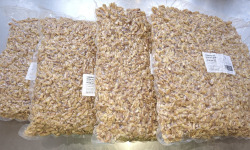 La Noyeraie des Borderies - CERNEAUX DE NOIX BIO qualité BOULANGERIE 3kg RÉCOLTE 2025