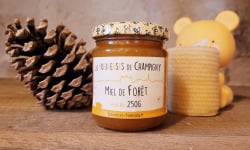 Les Butineuses de Champigny - Miel de Forêt BIO - 250g