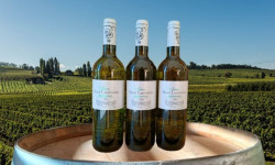Château Haut-Lamouthe - Bergerac Blanc Sec AOC - 3x75cl