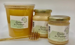 Le Rucher de Cantiers - Miel 15 x 500g