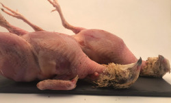 Des Poules et des Vignes à Bourgueil - 2 Cailles élevées sur foin