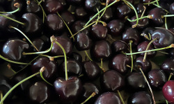 Le Châtaignier - Cerises 500g