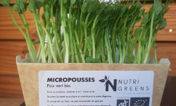 Ma Micropousse culinaire - Micropousse de pois vert Bio (Peas salad) 8 barquettes