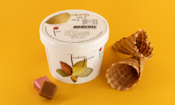 Le Jardinier Glacier - Glace Caramel boisson riz - 516ml