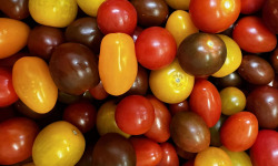 Domaine Reverchon - Tomates Cerises couleur 500gr