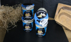 Ferme du Sire de Créquy - Yaourt infusé - Gingembre frais x4