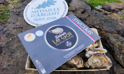 Jean Luc Le Gall Huîtres et Coquillages - Huitres Creuses SPECIALE LE GALL N°2 X 48 pièces