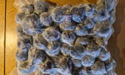 Figaro - Figues bio congelées 1kg