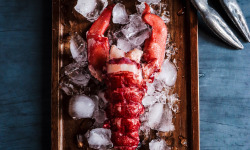 La Maison du Homard - Pack : 5 homards mi-cuits décortiqués