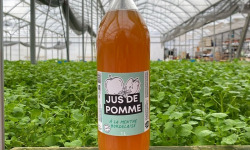 Les Nouvelles Fermes - Jus de pomme à la menthe (1L) x 6