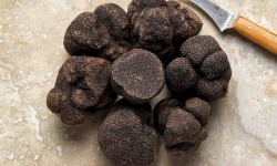 Plantin - L'art de la truffe depuis 1930 - Truffe Noire du Périgord 500g