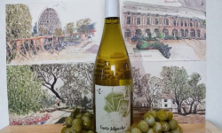 Cave Creuzet - Les Caves aux Caux - VSIG Blanc sec "Carte Blanche" - Lot de 6