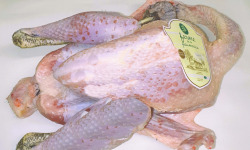 Ferme de la Paumerais - DINDE DE LA FERME - 6 Kg (x1)