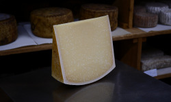 Alléosse Maitre Artisan Affineur Fromager - Parmigiano Reggiano Vache rouge 28mois  au lait cru DOP