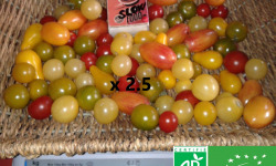 LES JARDINS DE KARINE - Tomates cerises en mélange - 2.5kg