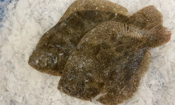 Notre poisson - Barbue sans tête - 500g