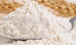 Adal Terra - Farine de Grand Epeautre Biodynamique T80 1KG