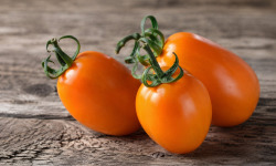 Nature et Saveurs - Ferme Aquaponique et Permacole Astérienne - Tomate de Vénus - Kg