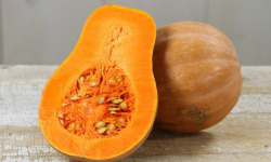 ChâteauFer - Courge - Sucrine du Berry (Moyenne)