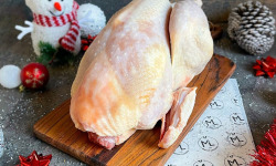 Maison Lascours - Dinde de Noël farcie façon Gascogne - 4 kg