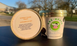 Glaces de Meuse - Lot P'tits Pots "Mirabelle IGP" - Sorbet PF (90gr)