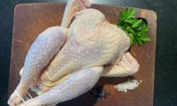 Des Poules et des Vignes à Bourgueil - Poules à mijoter (x10)