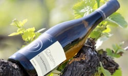 Domaine Daridan - Vin AOC Cheverny Blanc Tradition