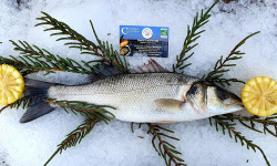 Camargue Coquillages - Loup De Mer (bar) Pêche Responsable Et Artisanale - Portion 500g