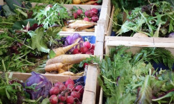 Aux Jardins des Colibris - Panier de légumes Bio "Printemps gourmand"