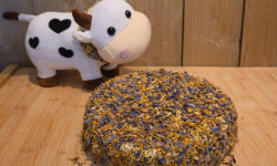 Fromagerie du Pichet - Tommes aux Fleurs 1,8kg