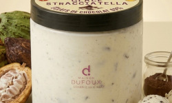 Maison Dufoux - Glace artisanale stracciatela avec des copeaux de chocolat origine Dufoux