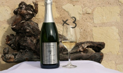 Domaine de la Chopinière du Roy - Lot de 3 bouteilles Crémant de Loire Blanc Brut, Fines Bulles et Fruité AOP - 3x75 cl