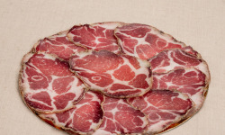 Maison Millas - Rosace de Coppa
