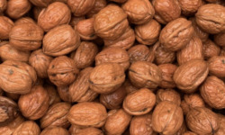 L’Oliveraie du Coudon - NOIX FRAICHE 5KG