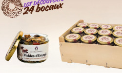 Les Myconautes - Lot 24 bocaux Pickles de pleurotes eryngii