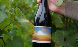 Pépin - Vin rouge nature Saillant - La petite Odyssée 75cl