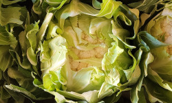 Maison Quéméner - Chou-fleur - 1 pièce véritable chou fleur breton