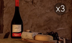 Domaine de la Perrée - Saint Nicolas de Bourgueil Rouge - Papillon 2024 x3